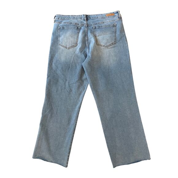 Social Standard High Rise Crop Straight Leg Jeans Plus Sz 16 Raw Hem Light Wash - Picture 4 of 13